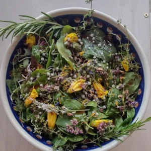 Wildkräutersalat (vegan, glutenfreundlich)