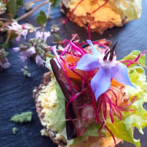 Feta-Aprikose mit gebratener Aubergine und Pesto Quadrat